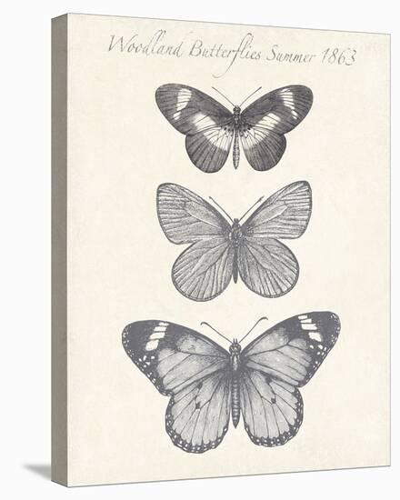 Seasonal Butterflies II-Maria Mendez-Stretched Canvas