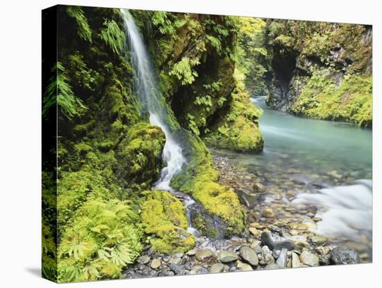 Seasonal Waterfall Near Graves Creek, Olympic National Park, Washington, USA-Stuart Westmoreland-Premier Image Canvas