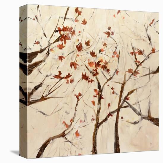 Seasons Color-Jodi Maas-Premier Image Canvas