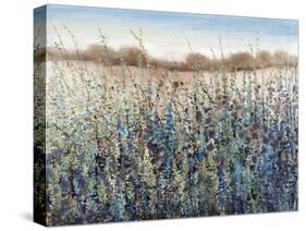 Seasons End-Tim O'toole-Premier Image Canvas