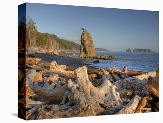 Seastack and James Island, Rialto Beach, Olympic National Park, Washington, USA-Jamie & Judy Wild-Premier Image Canvas