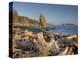 Seastack and James Island, Rialto Beach, Olympic National Park, Washington, USA-Jamie & Judy Wild-Premier Image Canvas