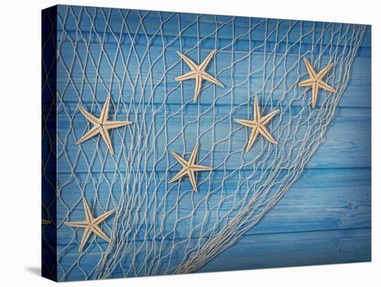 Seastars on the Fishing Net on a Blue Background-egal-Premier Image Canvas