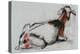 Seated Goat, 1998 (Conte and Charcoal on Paper)-Mark Adlington-Premier Image Canvas