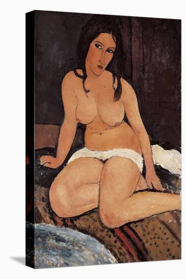 Seated Nude, 1917-Amedeo Modigliani-Premier Image Canvas