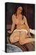 Seated Nude, 1917-Amedeo Modigliani-Premier Image Canvas