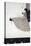 Seated Woman-Aubrey Beardsley-Premier Image Canvas