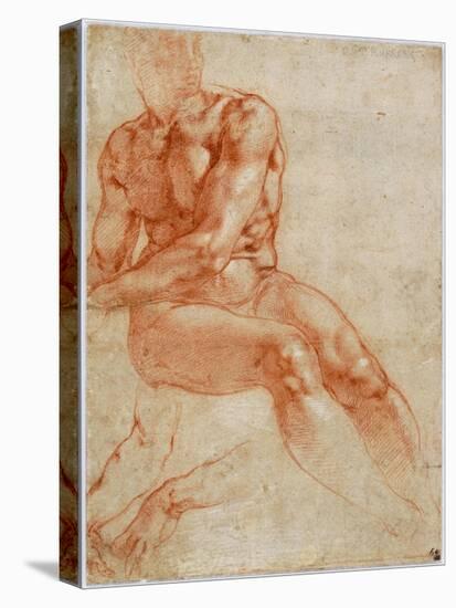 Seated Young Male Nude and Two Arm Studies, Ca 1510-1511-Michelangelo Buonarroti-Premier Image Canvas