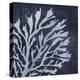 Seaweed 2-Denise Brown-Stretched Canvas