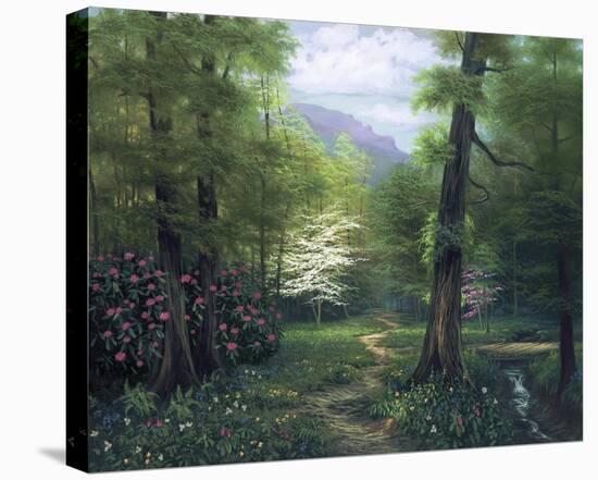 Secluded Path-Egidio Antonaccio-Stretched Canvas