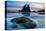 Second Beach at Olympic National Park, Washington, USA-null-Stretched Canvas