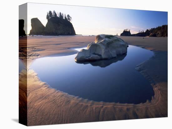 Second Beach, Olympic National Park, Unesco World Heritage Site, Washington State, USA-Colin Brynn-Premier Image Canvas