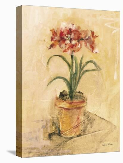 Secret Amaryllis I-Cheri Blum-Stretched Canvas