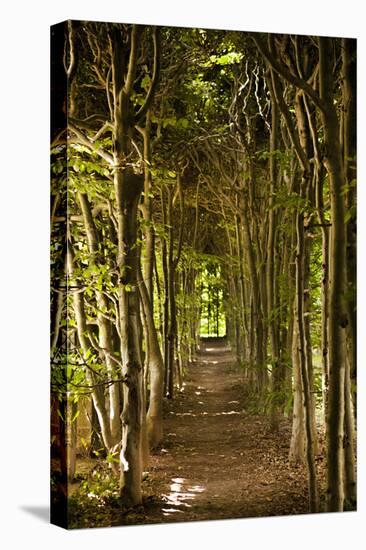 Secret Garden III-Karyn Millet-Premier Image Canvas