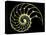 Sectioned Shell of a Nautilus-PASIEKA-Premier Image Canvas