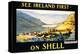 See Ireland First on Shell-null-Stretched Canvas