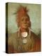 See-Non-Ty-A, an Iowa Medicine Man, 1844-45-George Catlin-Premier Image Canvas