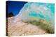 See Through Wave-Looking at the sand and coral through the face of a breaking wave-Mark A Johnson-Premier Image Canvas