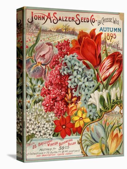 Seed Catalog Captions (2012): John A. Salzer Seed Co. La Crosse, Wisconsin, Autumn 1895-null-Stretched Canvas