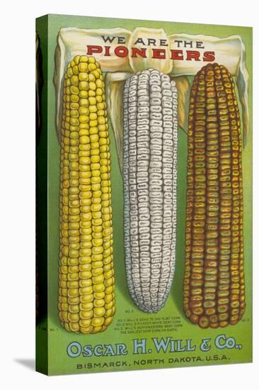 Seed Catalog Captions (2012): Oscar H. Will and Co, Bismarck, North Dakota, 1917-null-Stretched Canvas