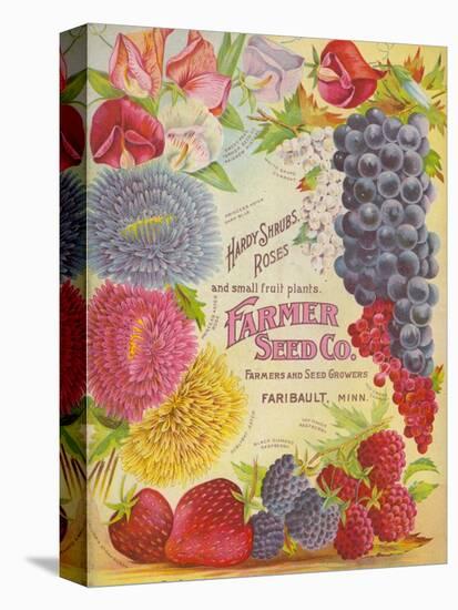 Seed Catalogues: Farmer Seed Co. Farm and Garden Seeds, Spring 1906-null-Stretched Canvas