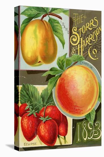 Seed Catalogues: Storrs and Harrison, Co. Painesville, OH, 1893-null-Stretched Canvas