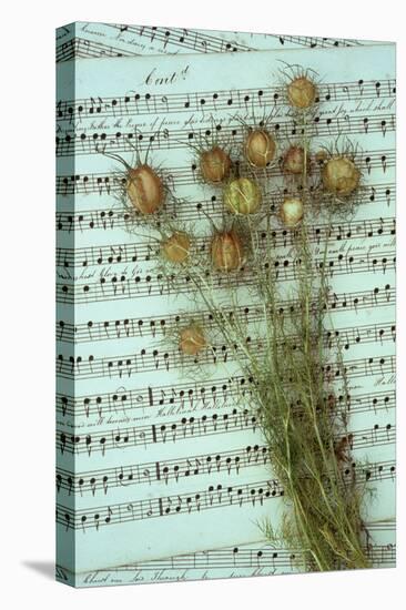 Seed Heads-Den Reader-Premier Image Canvas