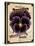 Seed Packet - Pansy-The Saturday Evening Post-Premier Image Canvas