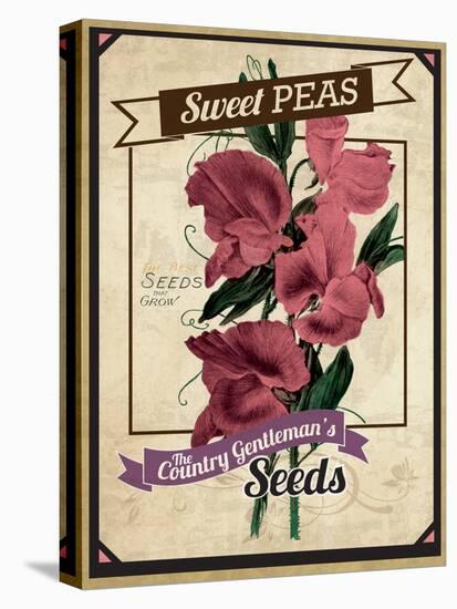Seed Packet - Sweet Peas-The Saturday Evening Post-Premier Image Canvas