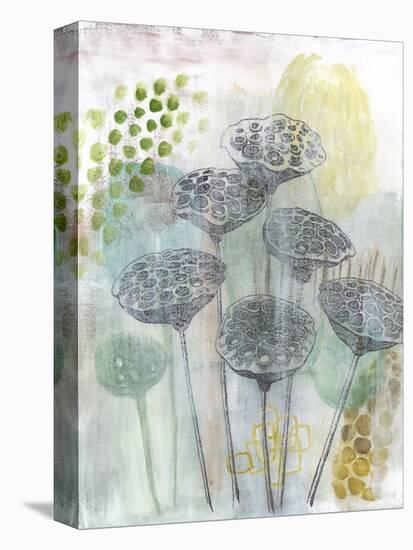 Seed Pod Composition I-Naomi McCavitt-Stretched Canvas