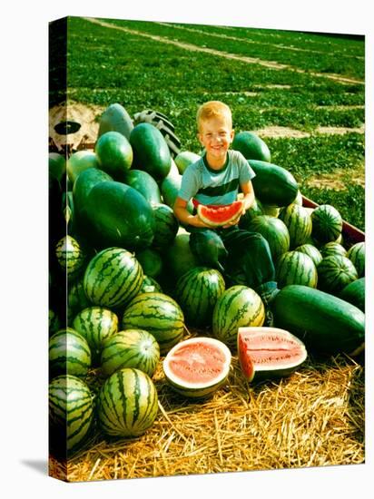 Seedless Watermelons at Purdue University-John Dominis-Premier Image Canvas