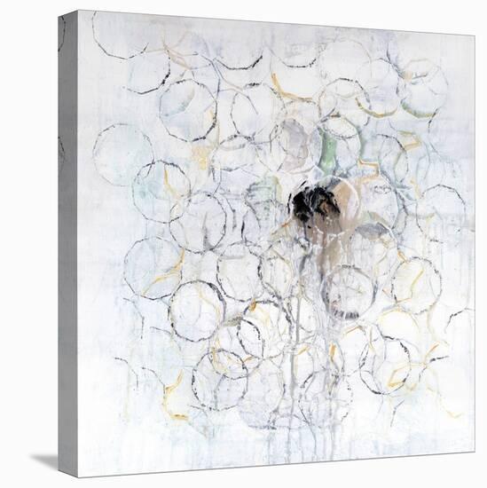 Seeds-Ann Tygett Jones Studio-Premier Image Canvas