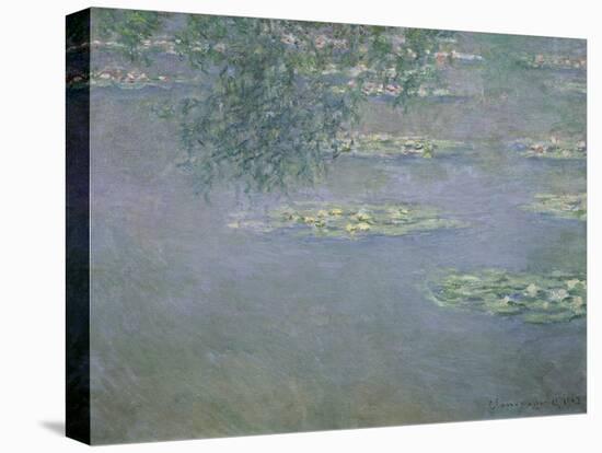 Seerosen, 1903-Claude Monet-Premier Image Canvas