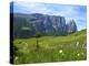 Seiser Alm, Trentino, South Tyrol, Italy-Katja Kreder-Premier Image Canvas