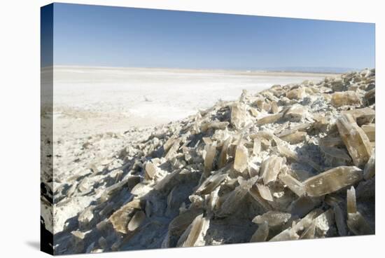 Selenite Crystals on a Dried Lake Bed-Louise Murray-Premier Image Canvas