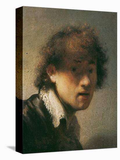 Self Portrait, 1629-Rembrandt van Rijn-Premier Image Canvas