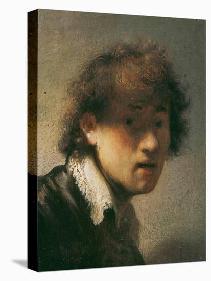 Self Portrait, 1629-Rembrandt van Rijn-Premier Image Canvas
