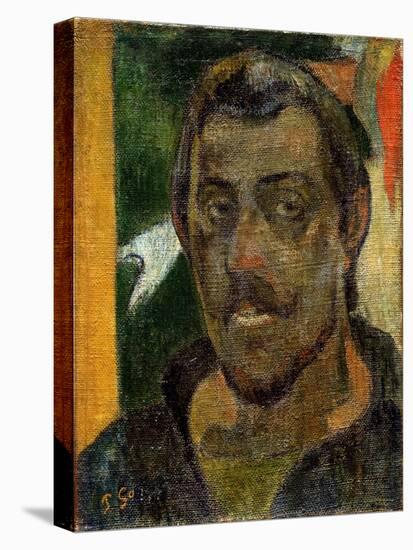 Self-Portrait, 1890-1894-Paul Gauguin-Premier Image Canvas