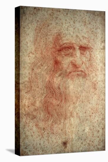 Self Portrait of Leonardo Da Vinci, Italian Painter, Sculptor, Engineer and Architect, C1513-Leonardo da Vinci-Premier Image Canvas