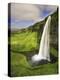 Seljalandfoss Waterfall, South Coast, Iceland-Michele Falzone-Premier Image Canvas