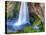 Seljalandsfoss Waterfall, Iceland-Nadia Isakova-Premier Image Canvas