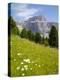 Sella Pass and Daisies, Trento and Bolzano Provinces, Italian Dolomites, Italy, Europe-Frank Fell-Premier Image Canvas