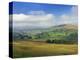 Semer Water, Yorkshire Dales National Park, Yorkshire, England, United Kingdom, Europe-Patrick Dieudonne-Premier Image Canvas