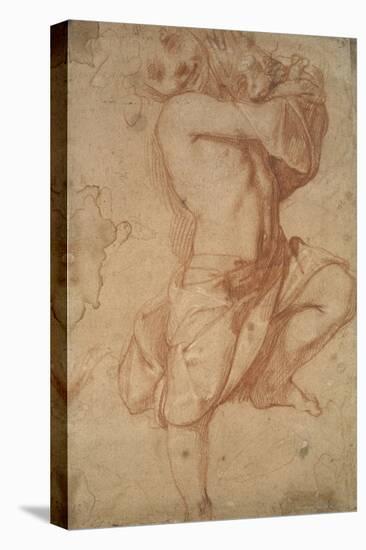 Semi-Nude Boy (Chalk on Paper)-Annibale Carracci-Premier Image Canvas