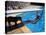 Sen. Barry Goldwater Hanging Underneath Diving Board in Swimming Pool as Dog Licks His Toes-Bill Ray-Premier Image Canvas