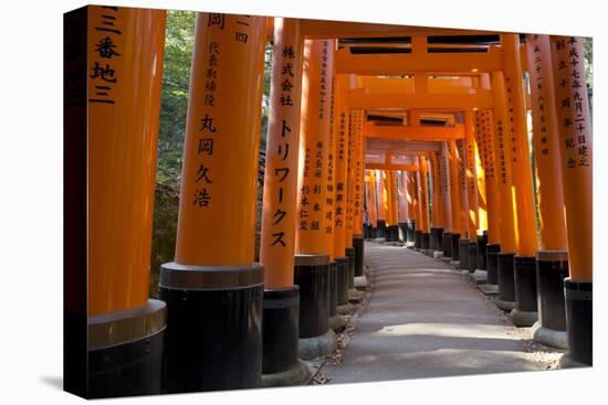 Senbon Torii (1,000 Torii Gates), Fushimi Inari Taisha Shrine, Kyoto, Japan-Stuart Black-Premier Image Canvas