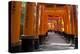 Senbon Torii (1,000 Torii Gates), Fushimi Inari Taisha Shrine, Kyoto, Japan-Stuart Black-Premier Image Canvas