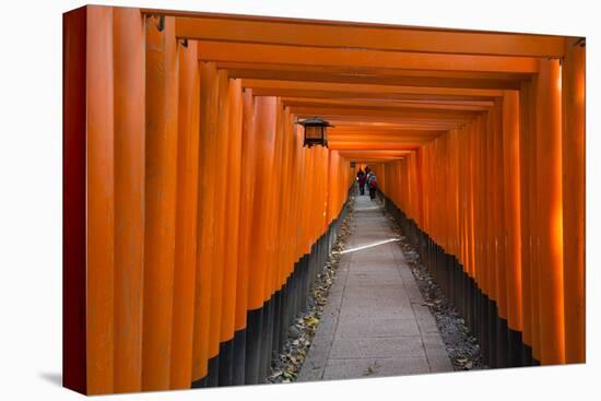 Senbon Torii, thousands of Torii gates, in Fushimi Inari Shrine, Kyoto, Japan-Keren Su-Premier Image Canvas