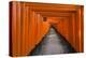 Senbon Torii, thousands of Torii gates, in Fushimi Inari Shrine, Kyoto, Japan-Keren Su-Premier Image Canvas