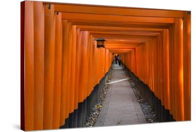 Senbon Torii Thousands Of Torii Gates In Fushimi Inari Shrine Kyoto Japan Premium Photographic Print Keren Su Art Com Senbon Torii Thousands Of Torii Gates In Fushimi Inari Shrine Kyoto Japan Premium Photographic Print Keren Su Art Com